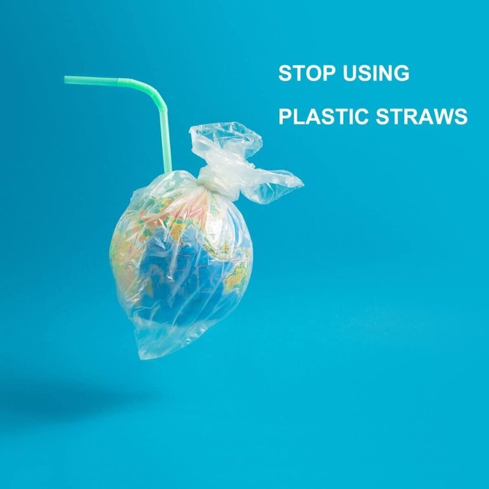 200 Count 8.25" Eco-friendly Bendable Compostable PLA Straws - Plasticless Biode - Picture 6 of 7